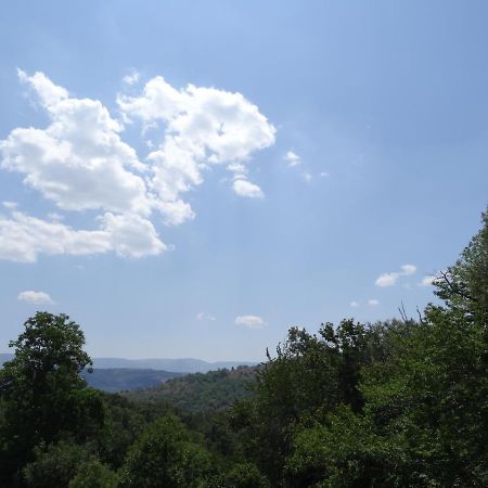 Al Patio Villa Los Loros Buitenkant foto