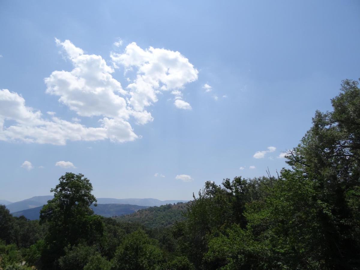 Al Patio Villa Los Loros Buitenkant foto